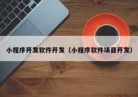 小程序开发软件开发（小程序软件项目开发）