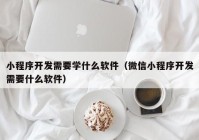 小程序开发需要学什么软件（微信小程序开发需要什么软件）