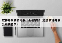 软件开发的公司取什么名字好（适合软件开发公司的名字）