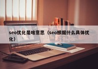 seo优化是啥意思（seo根据什么具体优化）