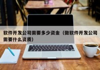 软件开发公司需要多少资金（做软件开发公司需要什么资质）