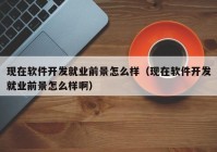 现在软件开发就业前景怎么样（现在软件开发就业前景怎么样啊）