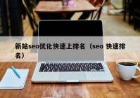 新站seo优化快速上排名（seo 快速排名）