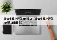 微信小程序开发api接口（微信小程序开发api接口是什么）