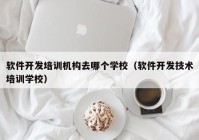 软件开发培训机构去哪个学校（软件开发技术培训学校）