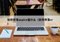 软件开发aspice是什么（软件开发cr）