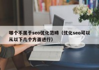 哪个不属于seo优化范畴（优化seo可以从以下几个方面进行）