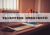 专业小程序开发定制（定制微信小程序开发）