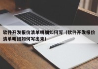 软件开发报价清单明细如何写（软件开发报价清单明细如何写出来）