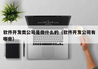 软件开发类公司是做什么的（软件开发公司有哪些）