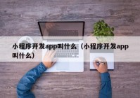 小程序开发app叫什么（小程序开发app叫什么）