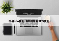 梅县seo优化（株洲专业SEO优化）