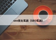 seo优化实战（SEO实战）