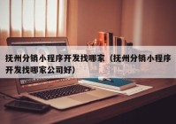 抚州分销小程序开发找哪家（抚州分销小程序开发找哪家公司好）