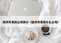 软件开发的公司简介（软件开发有什么公司）