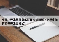 小程序开发软件怎么打开控制面板（小程序如何打开开发者模式）