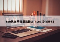 seo优化从哪里找排名（Seo优化排名）