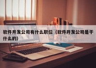 软件开发公司有什么职位（软件开发公司是干什么的）