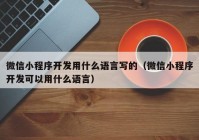 微信小程序开发用什么语言写的（微信小程序开发可以用什么语言）