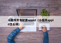 小程序开发配置appid（小程序appid怎么填）