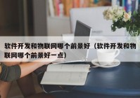 软件开发和物联网哪个前景好（软件开发和物联网哪个前景好一点）