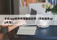 手机app软件开发编程实例（手机程序app开发）