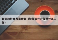 智能软件开发是什么（智能软件开发是什么工作）