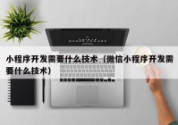 小程序开发需要什么技术（微信小程序开发需要什么技术）