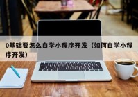 0基础要怎么自学小程序开发（如何自学小程序开发）