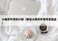 小程序开发的介绍（微信小程序开发项目描述）