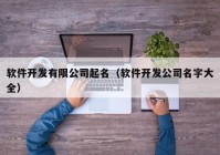 软件开发有限公司起名（软件开发公司名字大全）