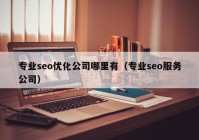 专业seo优化公司哪里有（专业seo服务公司）