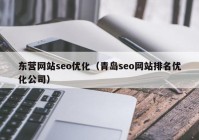 东营网站seo优化（青岛seo网站排名优化公司）